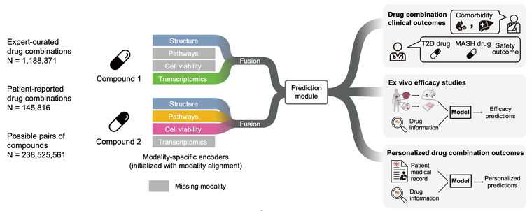 Madrigal model overview