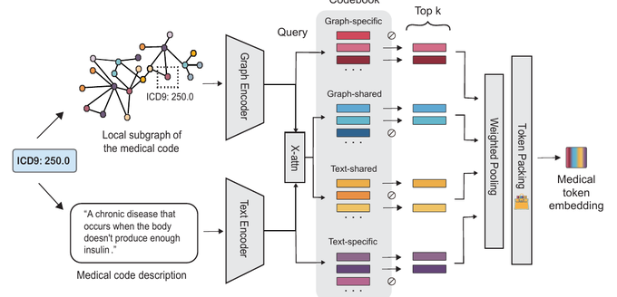 MedTok architecture