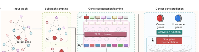 Cancer-gene model overview