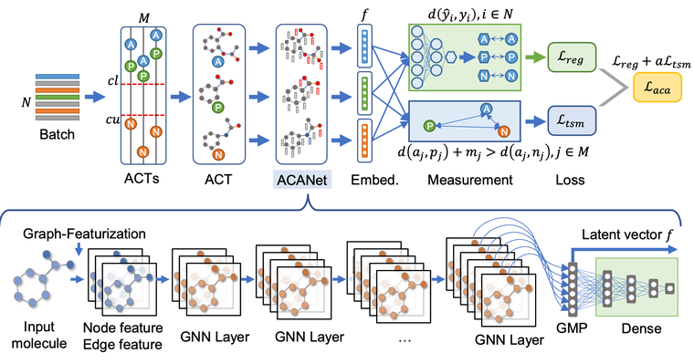 ACANet molecular property model